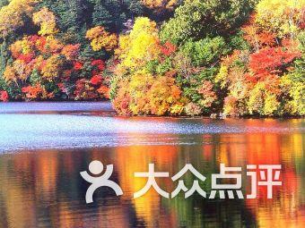 上个月5月3号来的月经安全期是几号游戏画面